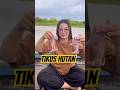 tabas tikus hutan