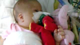 my pictures 073.AVI
