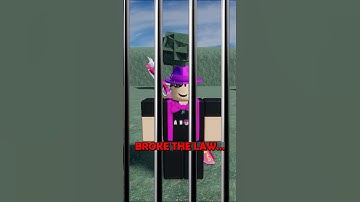 This Roblox Developer Did Something ILLEGAL...
