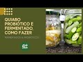 QUIABO PROBIÓTICO E FERMENTADO, COMO FAZER - ALIMENTO FERMENTADO E PROBIÓTICO