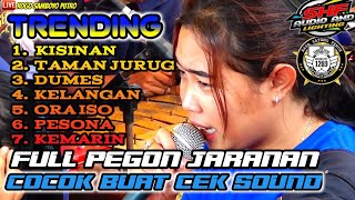 Lagu Jaranan Terbaru Full Bintang RSP1289 - Lagu Jaranan Trending voc. Gea Ayu - Rogo Samboyo Putro
