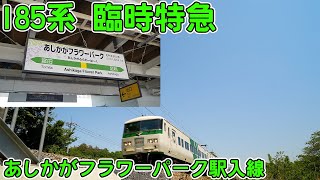 【4K】185系臨時特急あしかが大藤まつり号・あしかがフラワーパーク駅入線