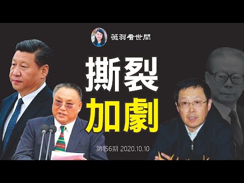 薇羽看世间：【第156期】习近平抓江泽民文旦滕文生的副手董宏，查太子党邓朴方的独立王国中国残联，中共权贵大决裂？