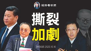 【第156期】董宏被抓，太子黨鄧樸方獨立王國中國殘聯被查，中共權貴大決裂？| 薇羽看世間 20201010
