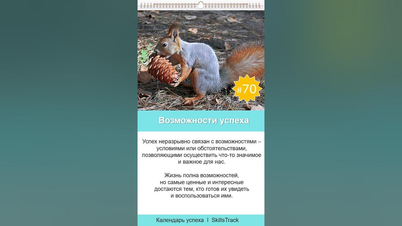 Календарь успеха #70. Возможности успеха - YouTube