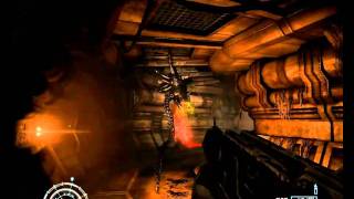 Aliens vs Predator crazy glitch WTF