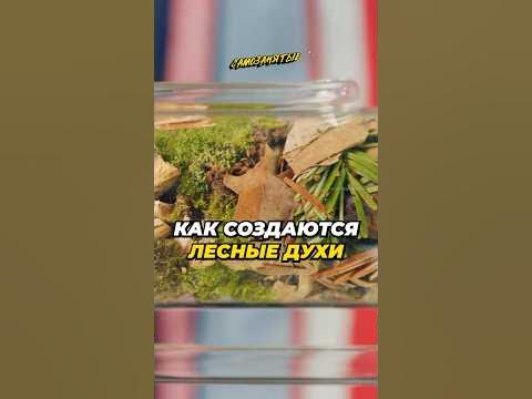 Как создают ДУХИ домашнего производства / Парфюм с запахом ЛЕСА - YouTube