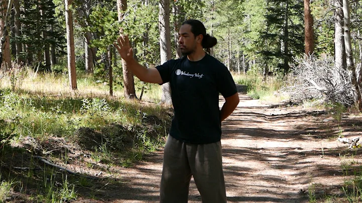 Sifu David Wei demonstrated the Wudang Five Elemen...