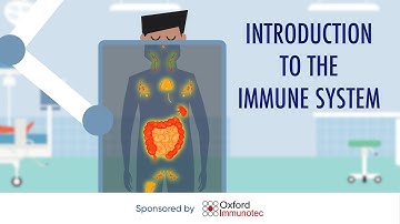 Introduction to the immune system