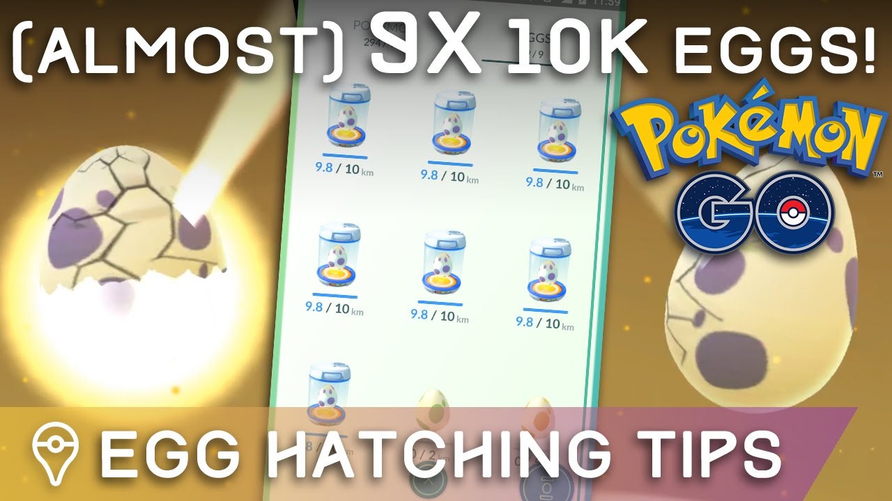 Egg Hatching Tips 7x 10k Egg Opening Youtube