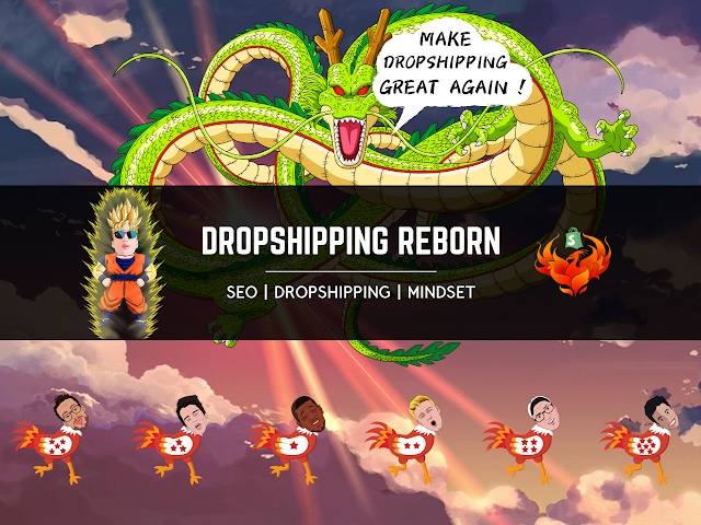 dropshipping reborn