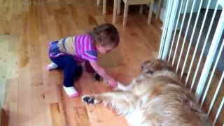 Toddler Plays Hokey-Pokey w Golden Retriever by TuBob Shakur 4,566 views 10 years ago 2 minutes, 2 seconds