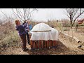 Installing Frost Clothes To My Pallet Raised Vegetable Gardens