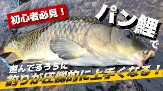 釣り初心者必見！パン鯉はめちゃくちゃいい練習になります。基本のキ～フッキング・ランディング編～