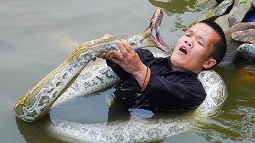 Dwarf family attacked by giant python monster while building bamboo bridge over fish pond.
