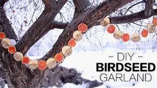 DIY Birdseed Garland \/\/ Garden Answer