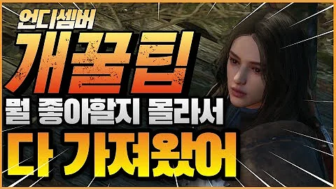 언디셈버 15분내내 미친꿀팁 대방출 이런게 팁이다!