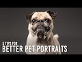 How to Take Better Pet Portraits in Studio: 5 Tips with Adam Goldberg