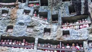 TANA TORAJA - Customs, Traditions & Culture