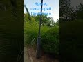 доброе утро мои любимые подписчики, это воспоминания с 2024 года июня месяца 🤗🤗🤗🙏