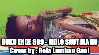 BUKU ENDE 809 - MOLO SAUT MA HO - COVER. RELA LUMBAN GAOL