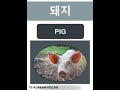 Korean vocabulary with pronounciation korean shorts koreanlanguage topik