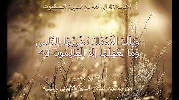 معمر- 41 الى 45 من سورة العنكبوت