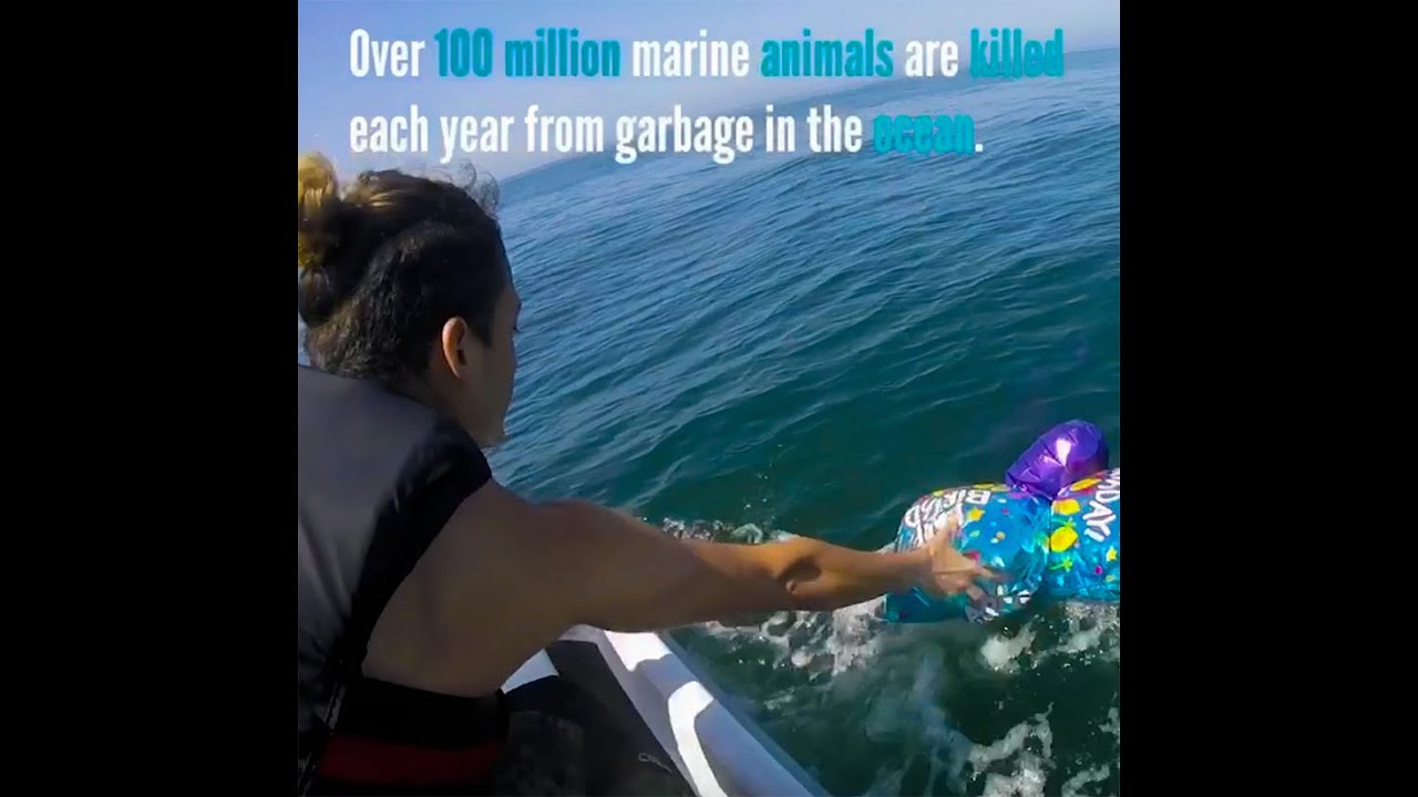 Saving animals from plastic and balloons!