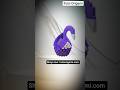Colorful Origami Swan Collection 🦢🌈 | Handcrafted Paper Art #Shorts #youtubeshorts #ytshorts