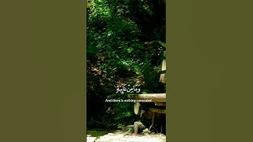 استغفر الله العظيم واتوب اليه. القارئ #اسلام_صبحي.،سورة النمل. #القرآن #القرآن_الكريم #quran
