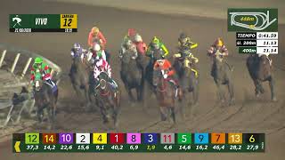 Vidéo de la course PMU HUSARES STAKES