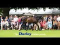 The 2017 Darley stallion parade at Dalham Hall stud