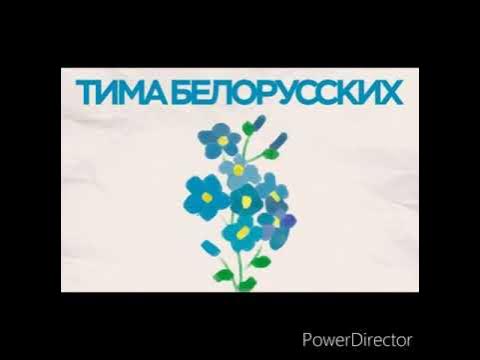 Незабудка клип. Тима белорусских незабудка. Тима беларусь незабудка. Незабудка песня текст песни. Слушать песню незабудка мой любимый цветок.