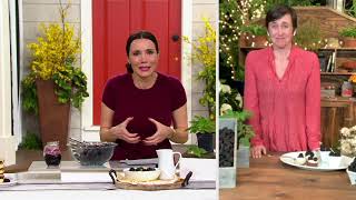 Cottage Farms 2-Piece Thornless Jumbo Blackberries Live Plants on QVC screenshot 1