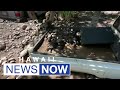 Hilo businesses begin cleanup process after rain pummels hawaii island