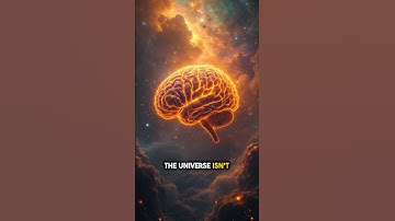 Is the Universe a Giant Brain? Exploring Consciousness at Cosmic Scales