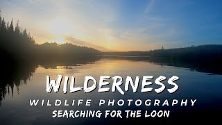 Wilderness Wildlife Photography in Canada | Forest Lakes and Rivers | Common Loons and Spring Birds