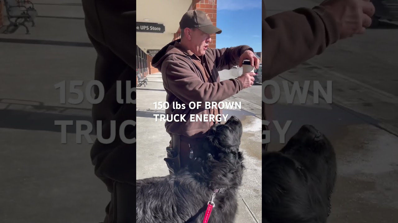 Водитель знает, что Сэм – это чистая радость. Если он подарил вам улыбку, поддержите его, написав...