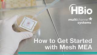 Getting Started with Mesh MEA: How to Sterilize & Prepare Mesh MEA for Recording