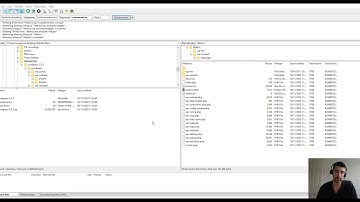 Manually updating WordPress
