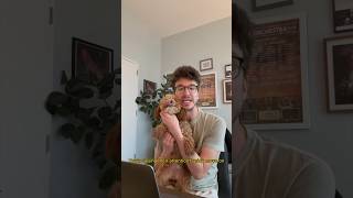 Writing a song about writing a song Profile
