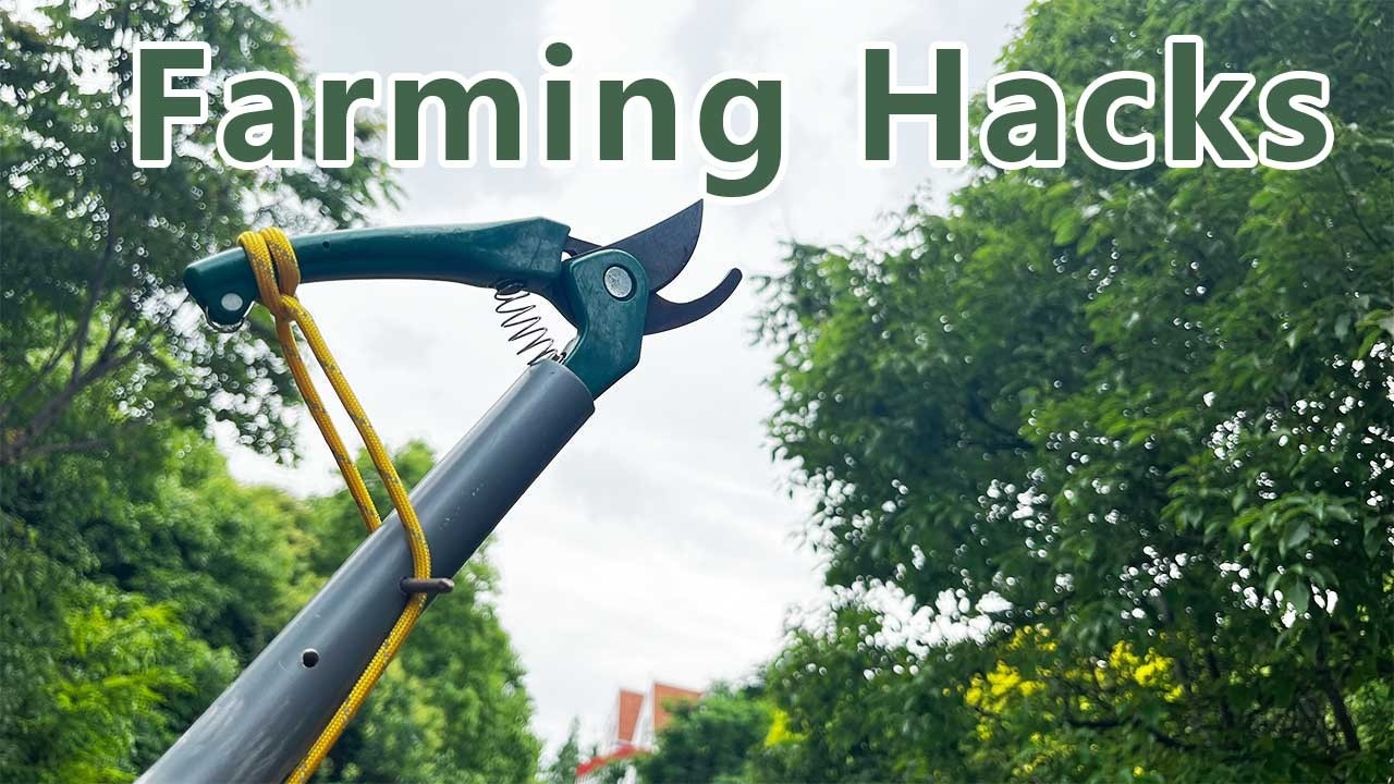 Top 7 Farming Hacks and Tips That Actually Work Extremely Well #tricks #farmer #gardening #tools