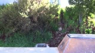 Kickflip off ledge