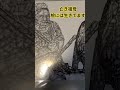 亡き祖母 絵には生きてます