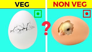Are Eggs Veg Or Non Veg?