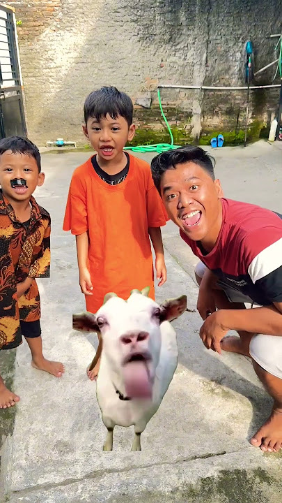 Mengenal suara hewan