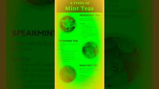 mint tea benefits shorts youtubeshorts