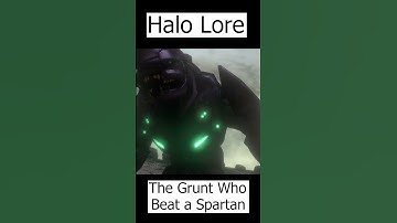 Can a Grunt Beat a Spartan? | Stolt - Halo Lore
