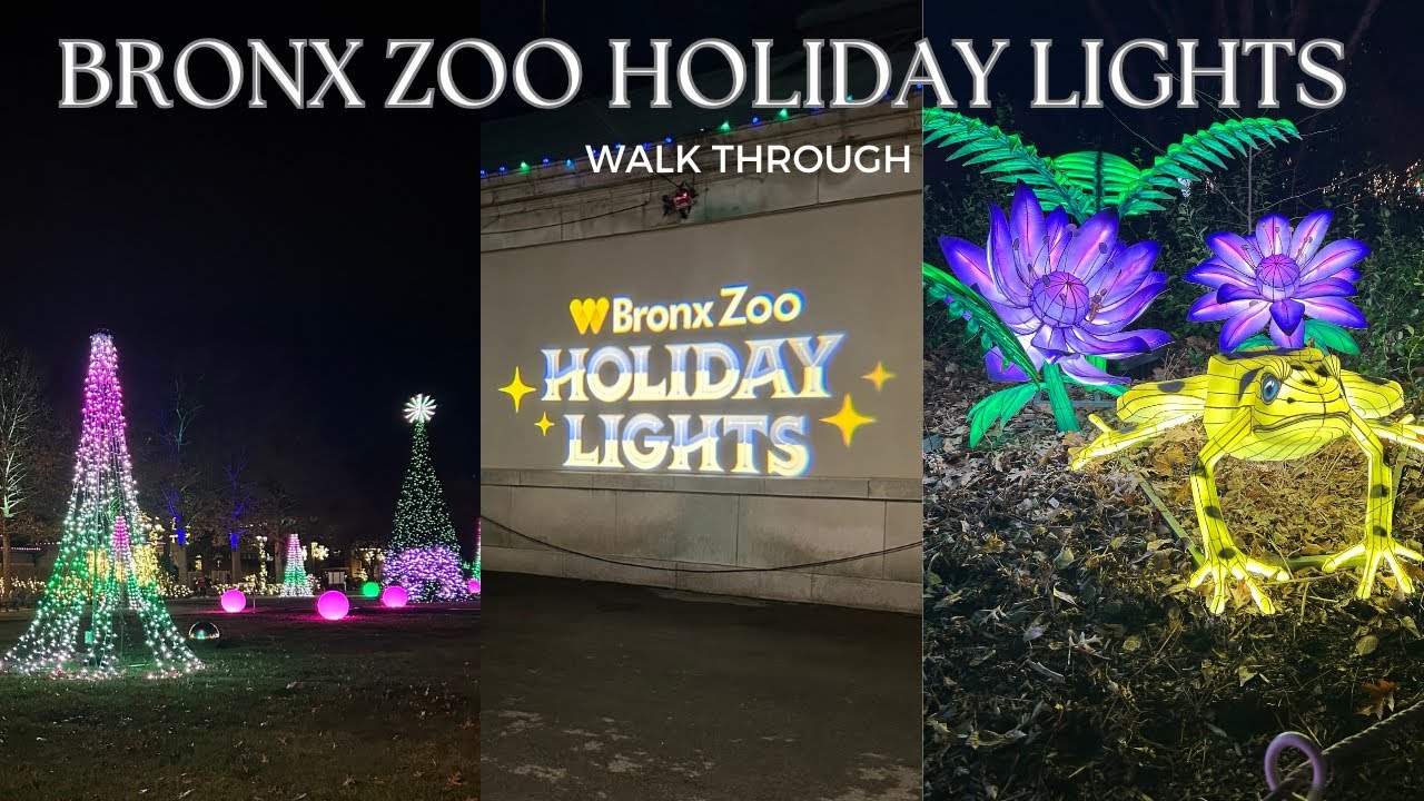 Bronx Zoo Holiday Lights 2024 | Walk Through | VLOGMAS