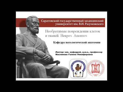 Лекция № 2 для студентов МПД, лечебного и педиатрического факультетов СГМУ им. В.И. Разумовского